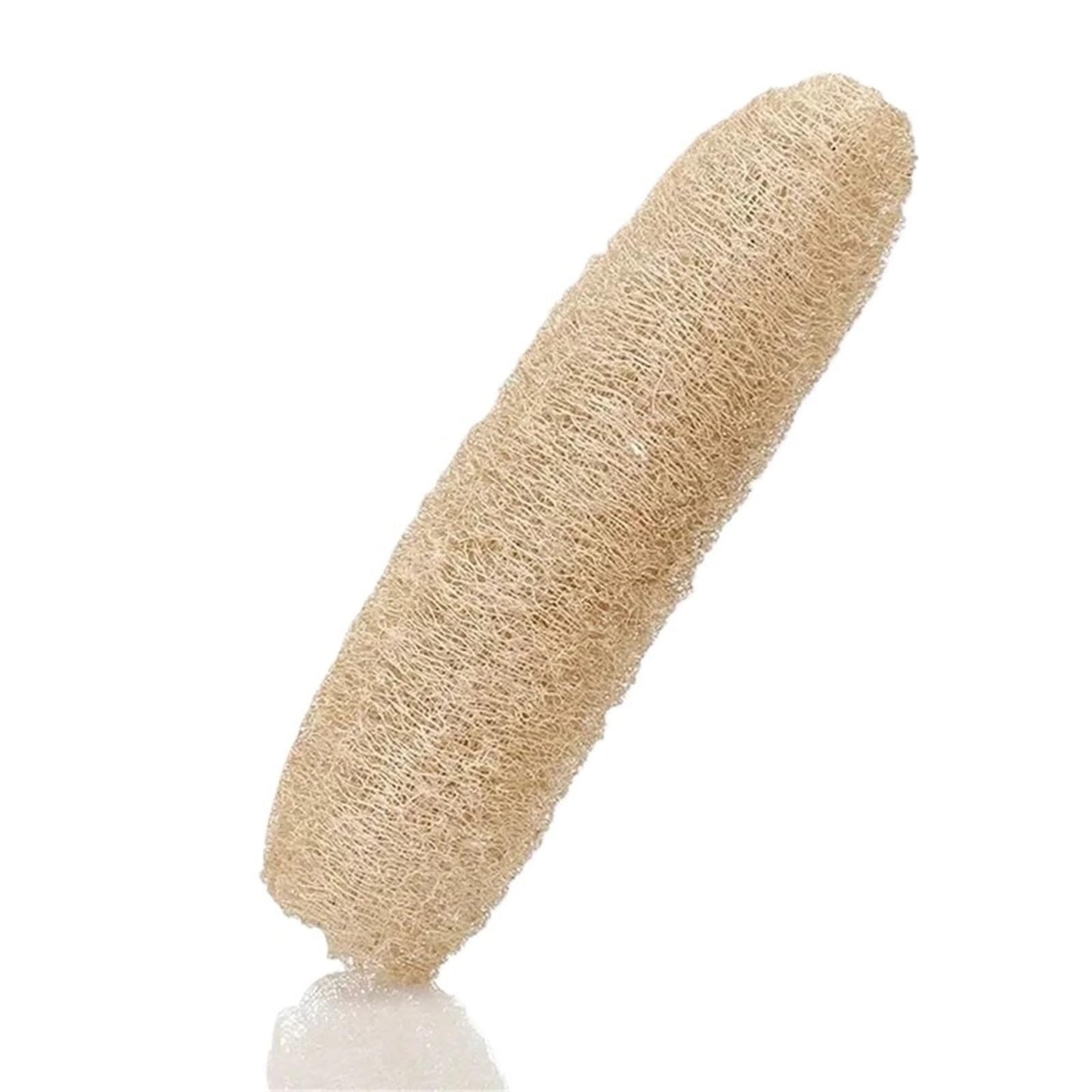 Full Loofah Natural Exfoliating Biodegradable Loofah Sponge Cellulose Natural Shower Sponge Scrubber for Kitchen Bathroom(20-29cm) Beauty and Personal Care HIVJEEDYH