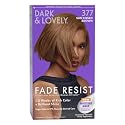 Dark & Lovely Color #377 Sun Kissed Brown (Pack of 2) Beauty & Personal Care Dark and Lovely