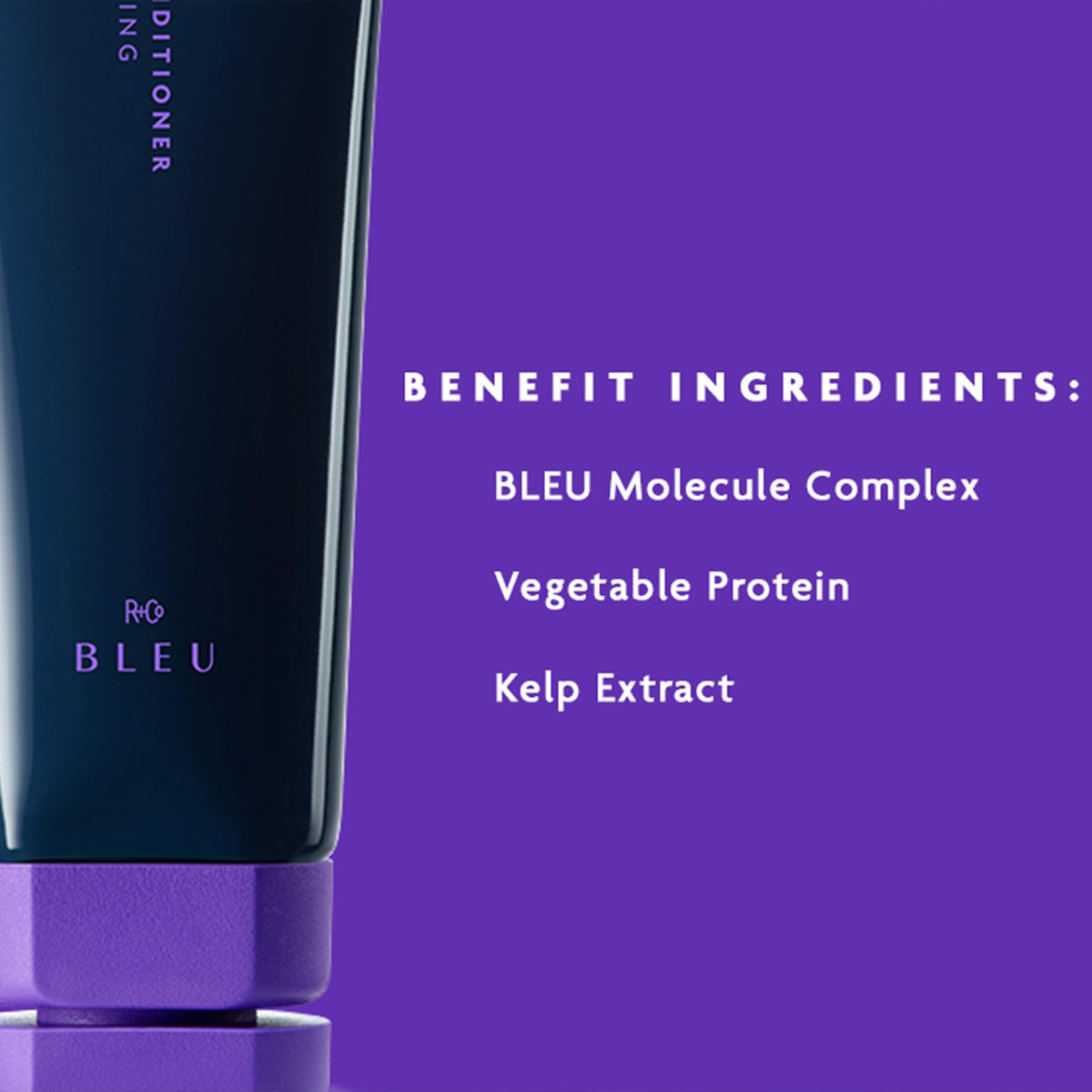 R+Co BLEU Ingenious Thickening Conditioner