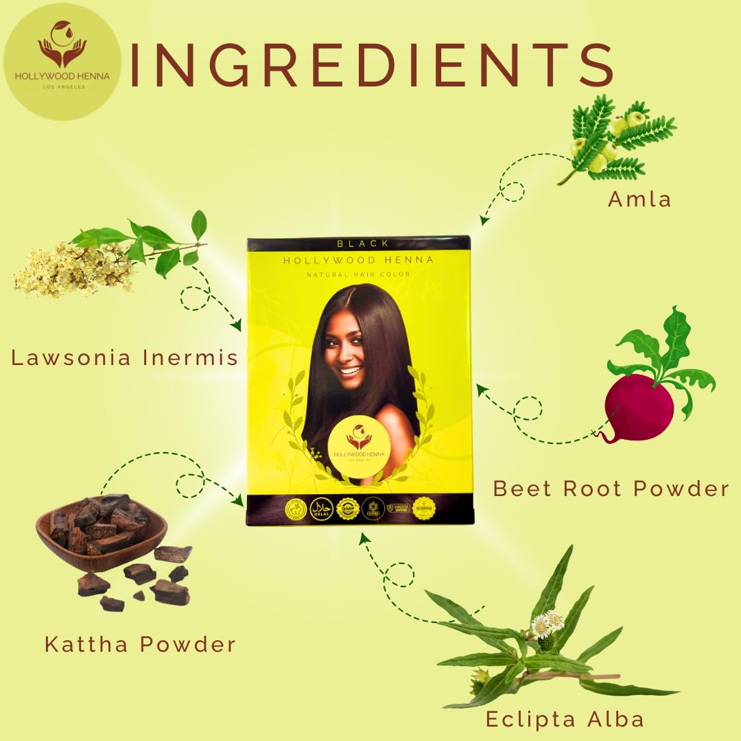 Hollywood Henna Hair Color Kit (Black) Organic Color Hair Beard Dye (Pack of 1-100g) Henna Based Hair Colors with Pure Herbs Free Chemicals Long Beauty & Personal Care Hollywood Henna