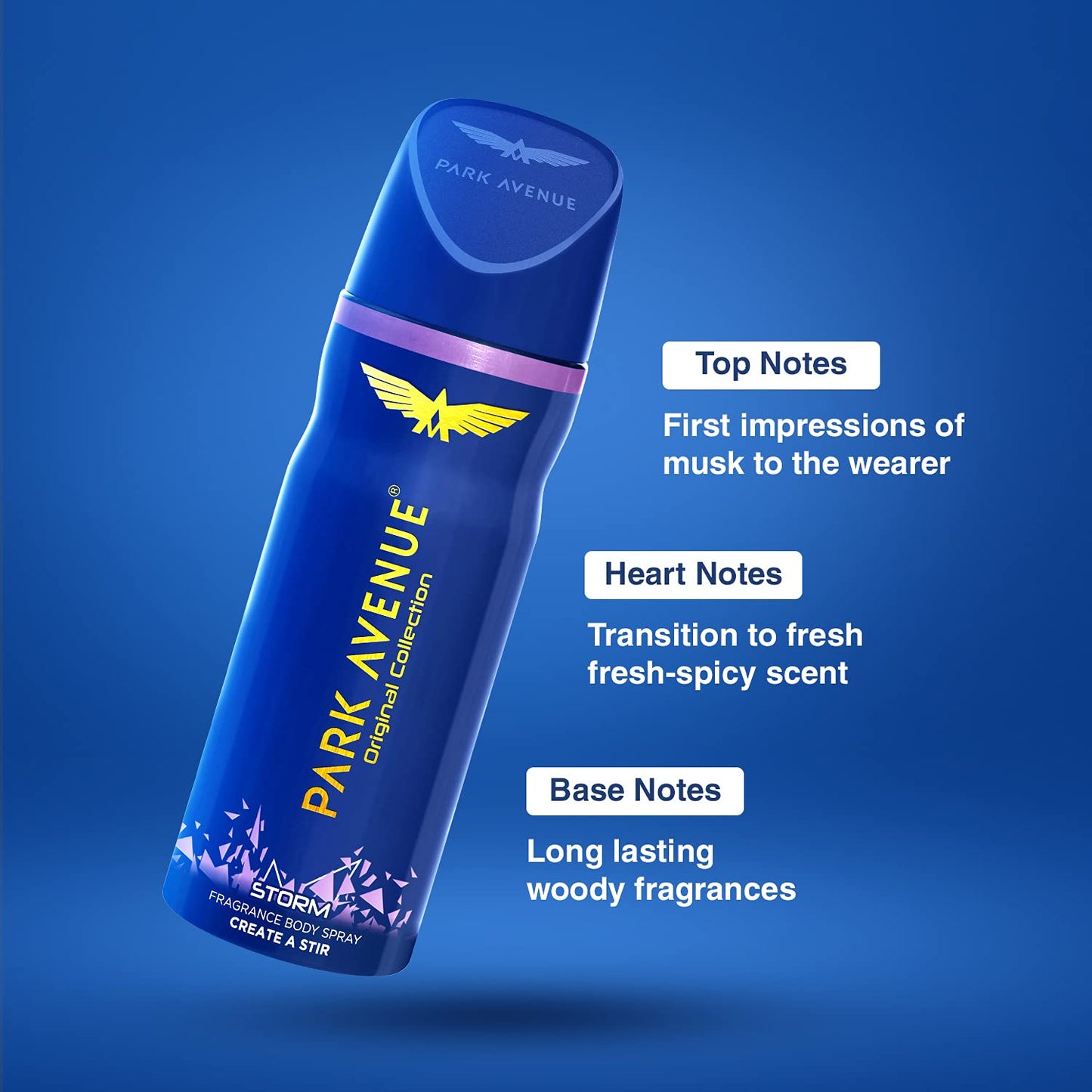 Park Avenue Storm Body Deodorant for Men, 100gm/130ml Beauty and Personal Care PARK AVENUE