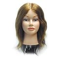 Celebrity Tammie 4-Section Human Hair Color Training Manikin Beauty & Personal Care Celebrity LifeStyle Product