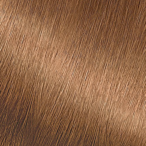 Garnier Nutrisse Nourishing Color Creme 70 Dark Natural Blonde (Almond Creme) Beauty & Personal Care Garnier