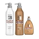 Salon In by Recamier | Hydra Repair Kit - Shampoo, Conditioner (33.8 fl oz Each) & Leave-In (10.1 fl oz) | Dry And Damaged Hair Beauty & Personal Care RECAMIER PROFESSIONAL SALON IN