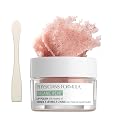 Physician's Formula Organic Wear Lip Polish with Exfoliating Lip Scrub and Skin-Nourishing Organic Ingredients - Lip Treatment for Dry Cats Beauty & Personal Care Physicians Formula