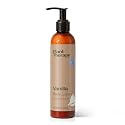 Plant Therapy Vanilla Body Lotion with Aloe and Shea 8 oz Sweet Vanilla Scent, Naturally Moisturizing Ingredients, Soothes & Nourishes Skin Beauty & Personal Care Plant Therapy