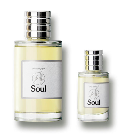 Zermat Soul Men's Fragrance Duo - Fresh Herbal Scent - 3.55 Fl. Oz & Miniature 0.85 Fl. Oz - Unleash Your Inner Confidence Beauty & Personal Care Zermat