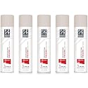 Salon Grafix Mega Hold Professional Freezing Hair Spray, 10 Ounces each (Value Pack of 5) Beauty & Personal Care Salon Grafix