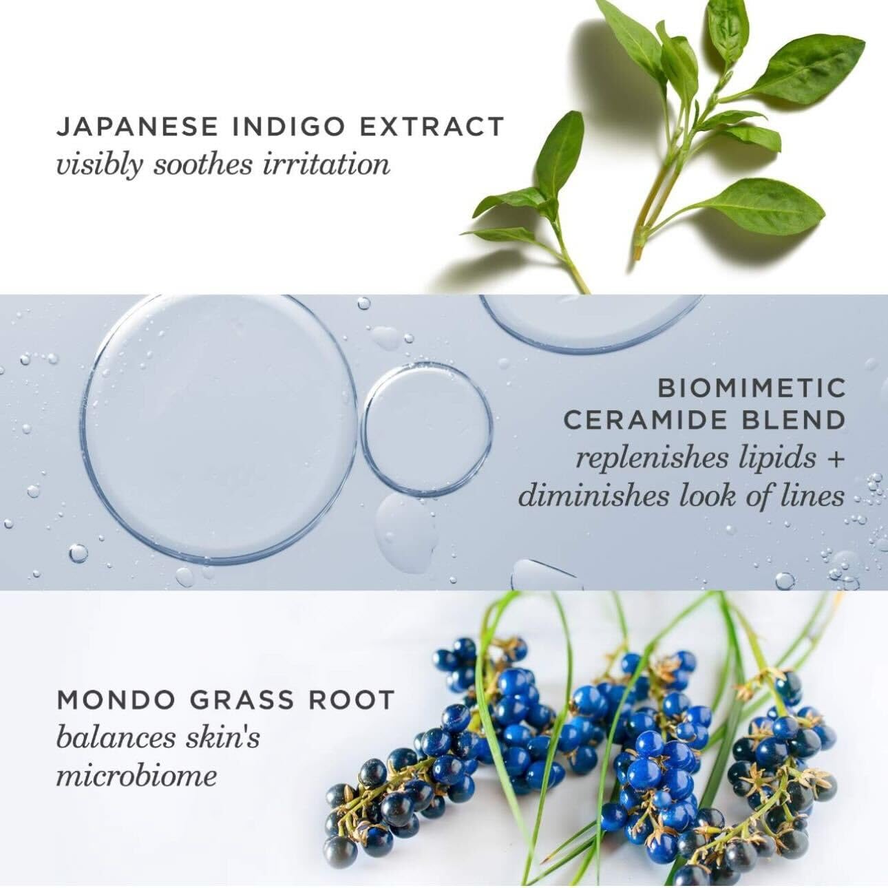 TATCHA Indigo Overnight Repair | Face Cream & Serum Treatment, Fragrance Free Night Cream, 50 ml | 1.7 oz Beauty & Personal Care TATCHA