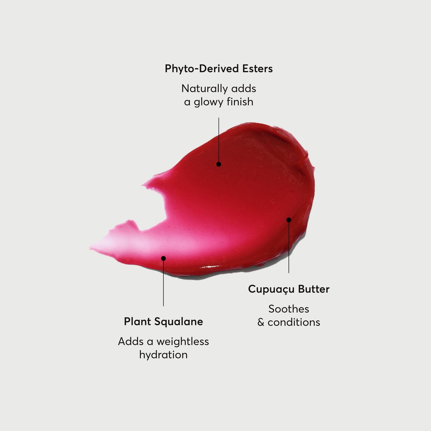 Naturium Phyto-Glow Lip Balm, Hydrating Lip Care with a Glossy Finish, 0.34 oz Lychee Beauty and Personal Care Naturium
