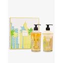 BAOBAB COLLECTION Miami hand lotion and hand cleansing gel giftbox Beauty & Personal Care Baobab Collection