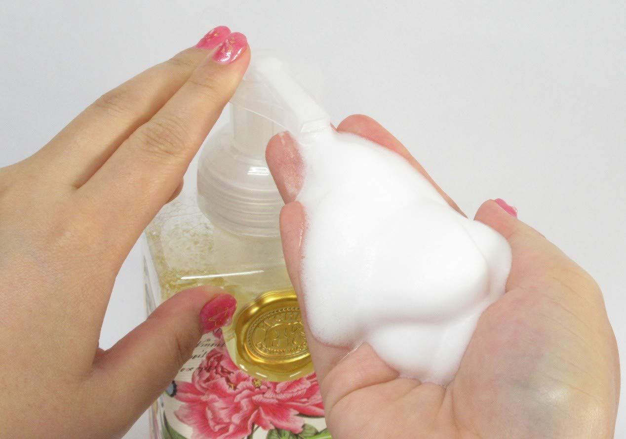Michel Design Works Scented Foaming Hand Soap, Season's Greetings Beauty & Personal Care Michel Design Works
