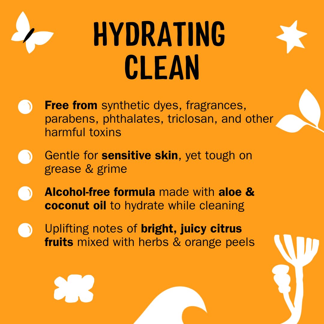 Molly's Suds Foaming Hand Soap - Made with Aloe and Coconut Oil | Moisturizing Hand Wash | Clean Ingredients, Infused with Essential Oils | Citrus Beauty & Personal Care Molly's Suds