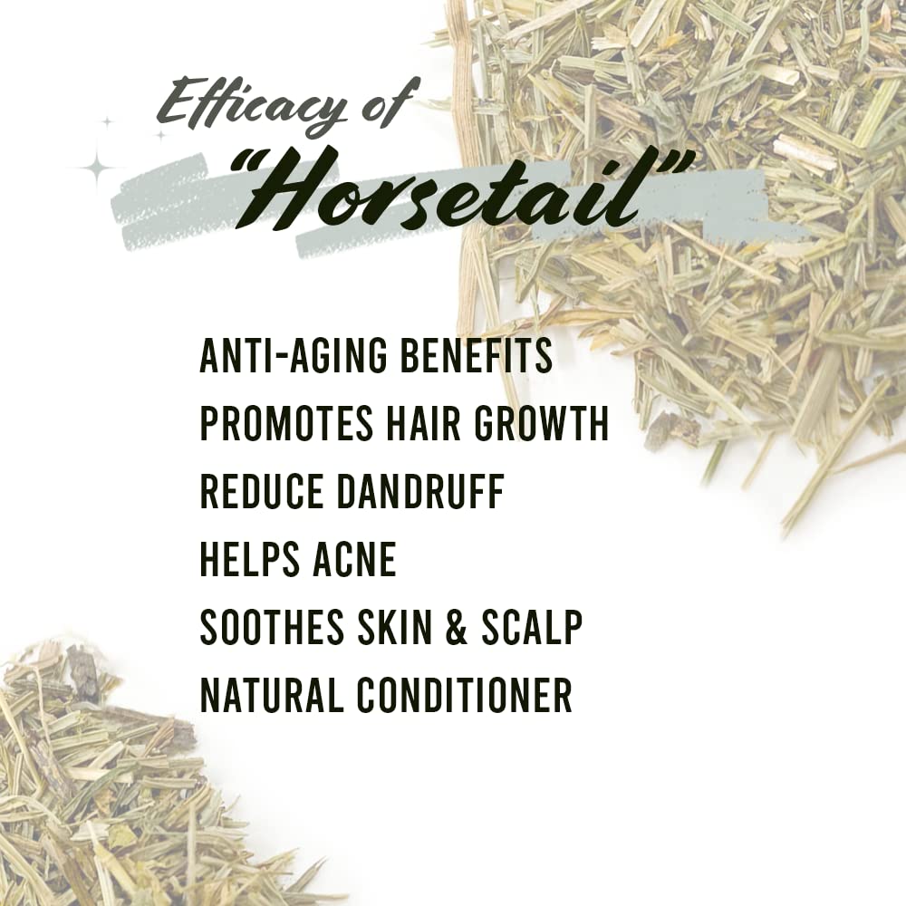 Well's Herb Dried Horsetail | 0.5 oz. | 100% Natural | Herbal Hair & Skin Oil Ingredient | DIY Beauty Essential Beauty & Personal Care Well's Oil