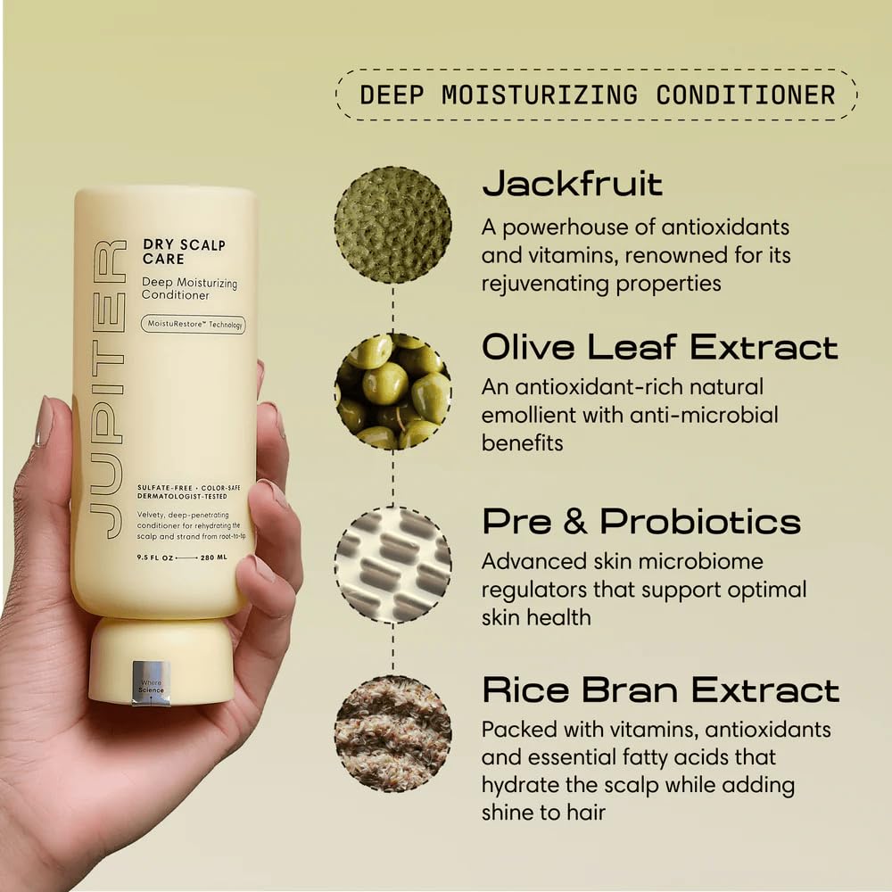 Jupiter Hydrating Shampoo and Conditioner Set - Moisturizing, Nourishing, and Strengthening Hair Care - Daily Scalp & Hair Hydration - Color-Safe Beauty & Personal Care Jupiter
