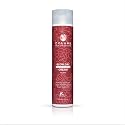 COLURE Blow Dry Cream, 10 Fl Oz - Anti Frizz Heat Protectant Styling Crème & Smoothing Formula for Color Treated Hair Beauty & Personal Care COLURE