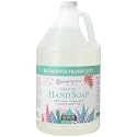 Ginger Lily Farms Botanicals All-Purpose Foaming Hand Soap Refill, 100% Vegan & Cruelty-Free, Eucalyptus Tranquility Scent, 1 Gallon (128 fl oz) Beauty & Personal Care Ginger Lily Farms
