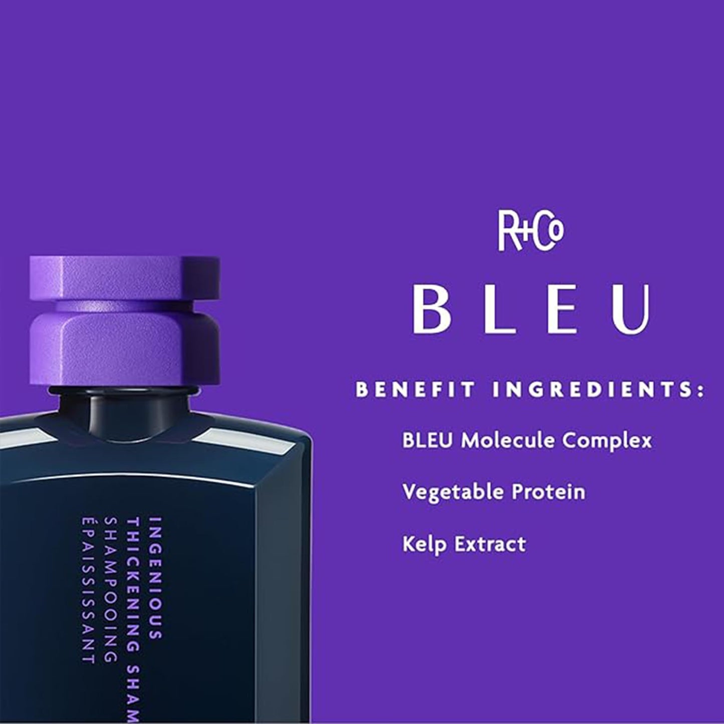 R+Co BLEU Ingenious Thickening Shampoo (8.5 oz) & LifeStyler Volume + Texture Spray (8.3 oz) - Adds Thickness, Volume, Texture, Body, and Movement Beauty & Personal Care R+Co