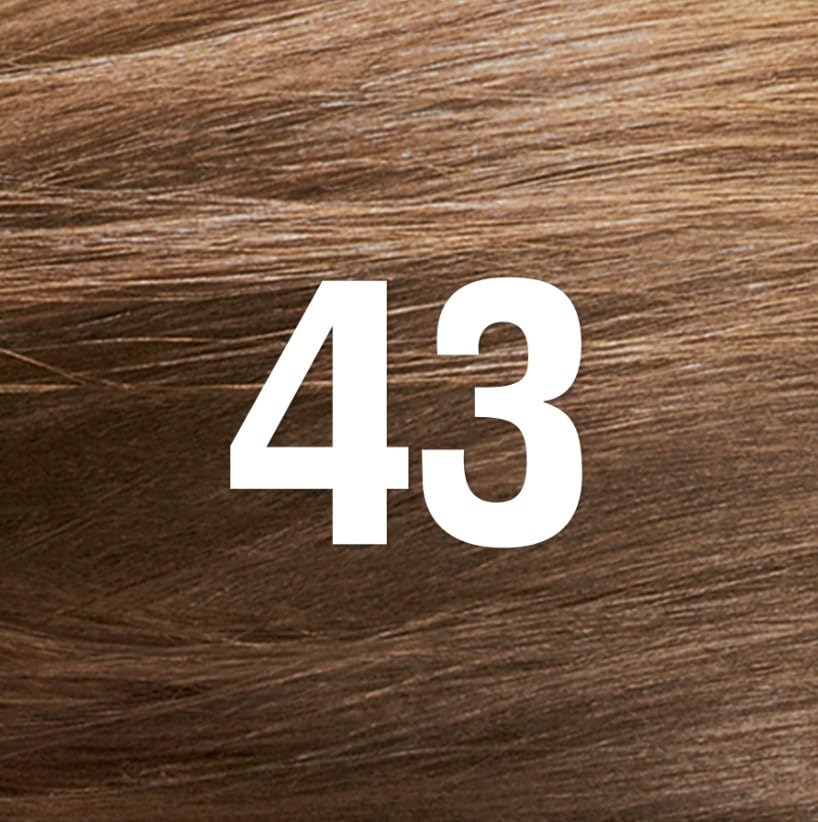 Revlon ColorSilk Hair Color [43] Medium Golden Brown 1 ea (Pack of 9) Beauty & Personal Care REVLON