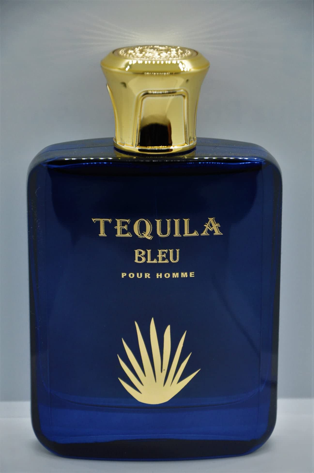 Tequila Bleu Pour Homme for Men Eau de Parfum Spray Fl Oz / 100 ML Beauty & Personal Care Tequila