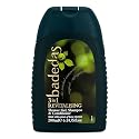Badedas Revitalising Shower Gel, Shampoo & Conditioner 200ml (PACK OF 2) Beauty & Personal Care Badedas