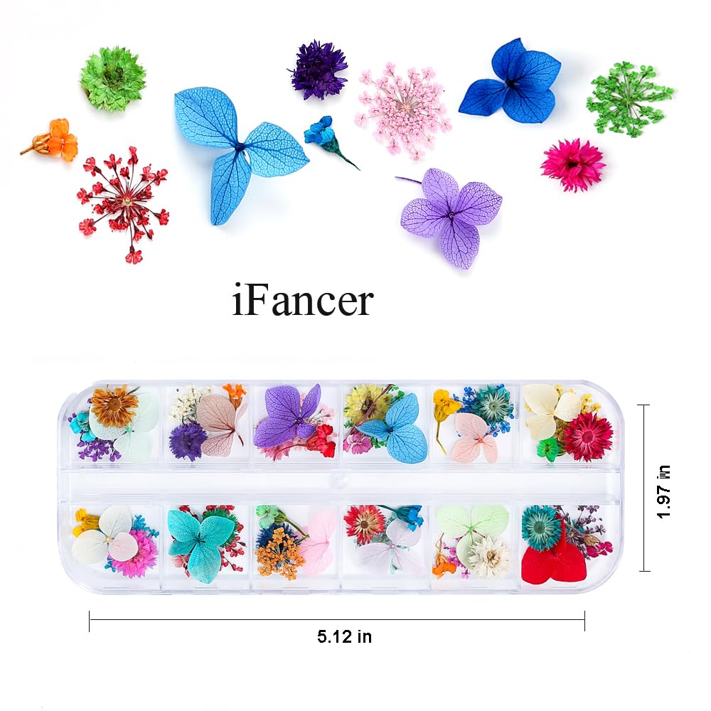 iFancer 108 Pcs Dried Flowers for Resin Nail Art 62 Colors 3D Dry Flowers for Nails 2 Boxes Small Tiny Dried Flowers for Nail Art Little Pressed Real Beauty & Personal Care iFancer