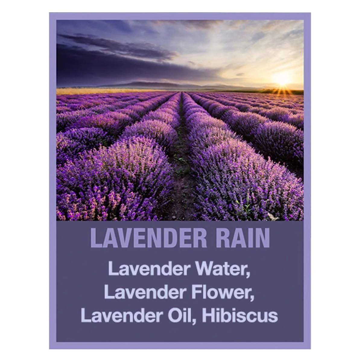 Tweak’d by Nature - Lavender Rain Body Wash, Sulfate Free, Natural, Hydrating and Moisturizing, Gentle Lavender Shower Gel and Body Wash for Women (1 Beauty & Personal Care Tweak'd by Nature