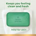 Irish Spring Deodorant Bar Soap, Original Clean, 4.5 Ounce (Pack of 20) Beauty & Personal Care Irish Spring