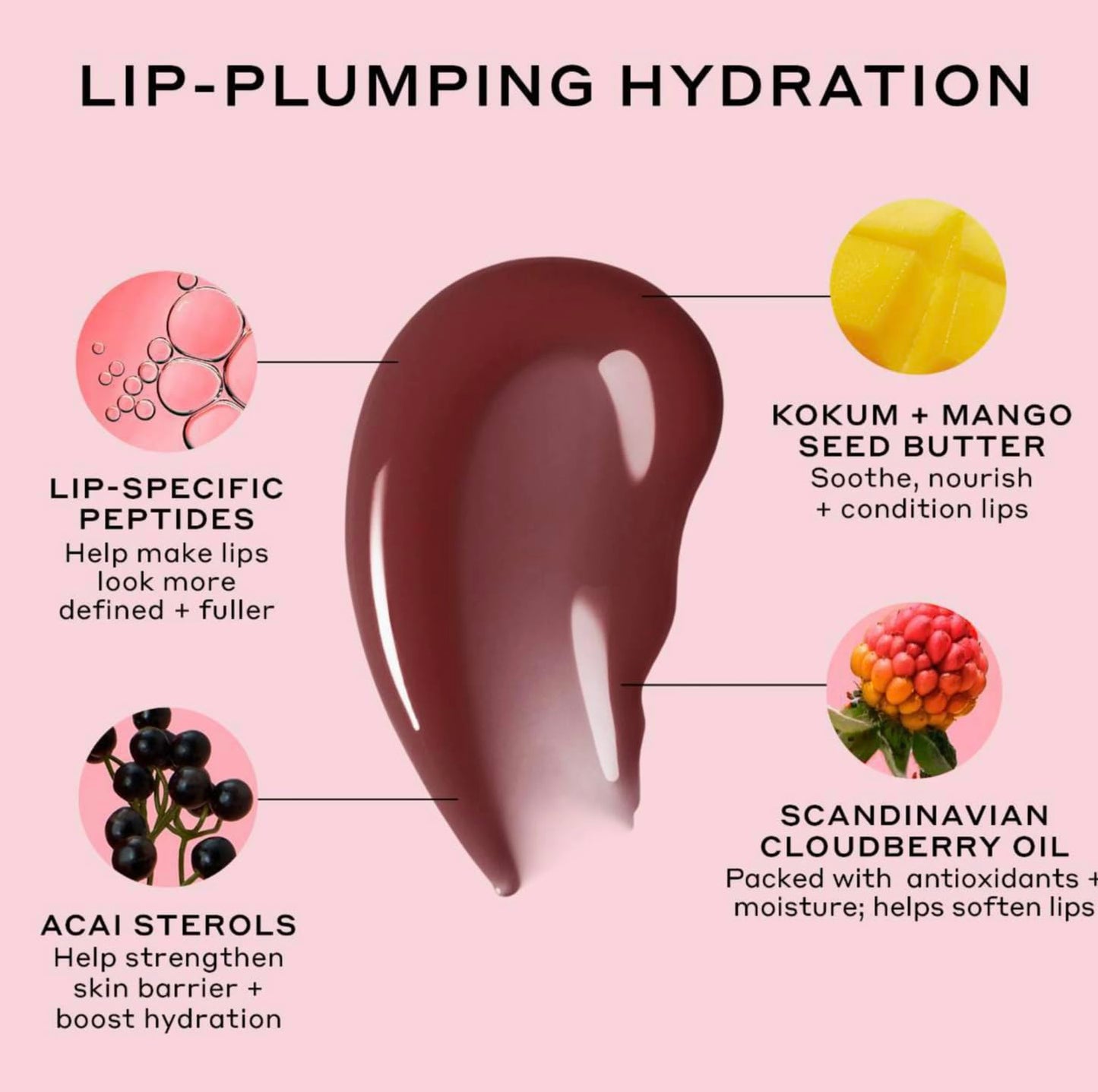 Ole Henriksen Cocoa Creme Pout Preserve Lip Peptide Treatment Beauty & Personal Care Ole Henriksen