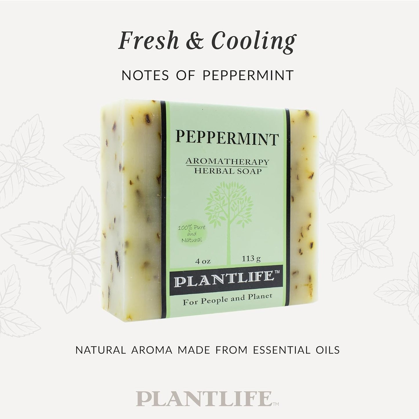 Plantlife Peppermint Bar Soap Pack of 2 - Moisturizing and Soothing Soap for Your Skin - Hand Crafted Using Plant-Based Ingredients - Made in Beauty & Personal Care Plantlife