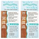 Water Works Permanent Powder Hair Color - #27 Natural Light Brown 0.2 oz. (Pack of 2) Beauty & Personal Care Water Works