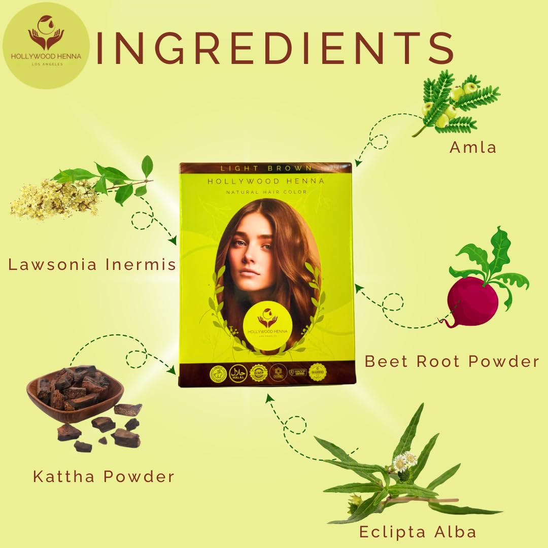 Hollywood Henna Hair Color Kit (Light Brown) Organic Color Hair Beard Dye (Pack of 1-100g) Henna Based Hair Colors with Pure Herbs Free Chemicals Long Beauty & Personal Care Hollywood Henna