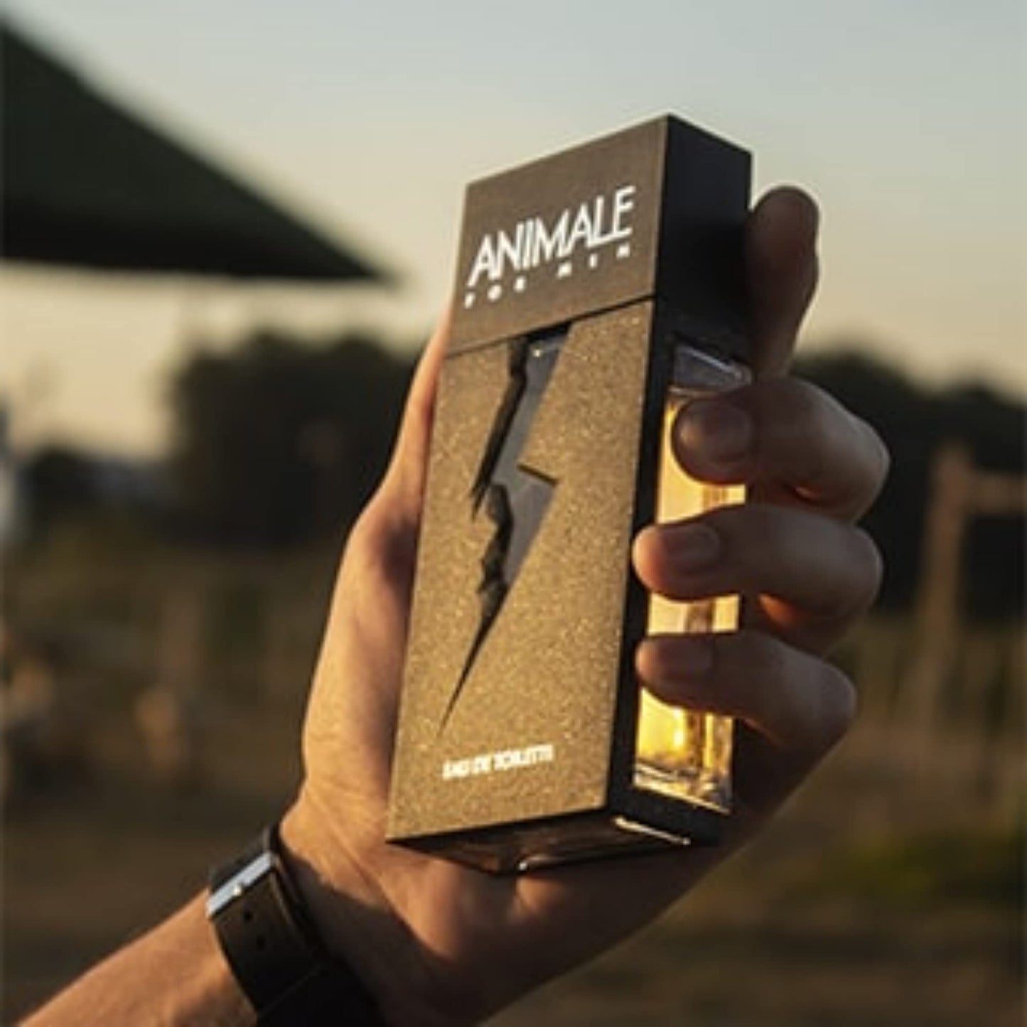 Animale By Animale Parfums For Men. Eau De Toilette Spray 3.4 Ounces Beauty & Personal Care Animale