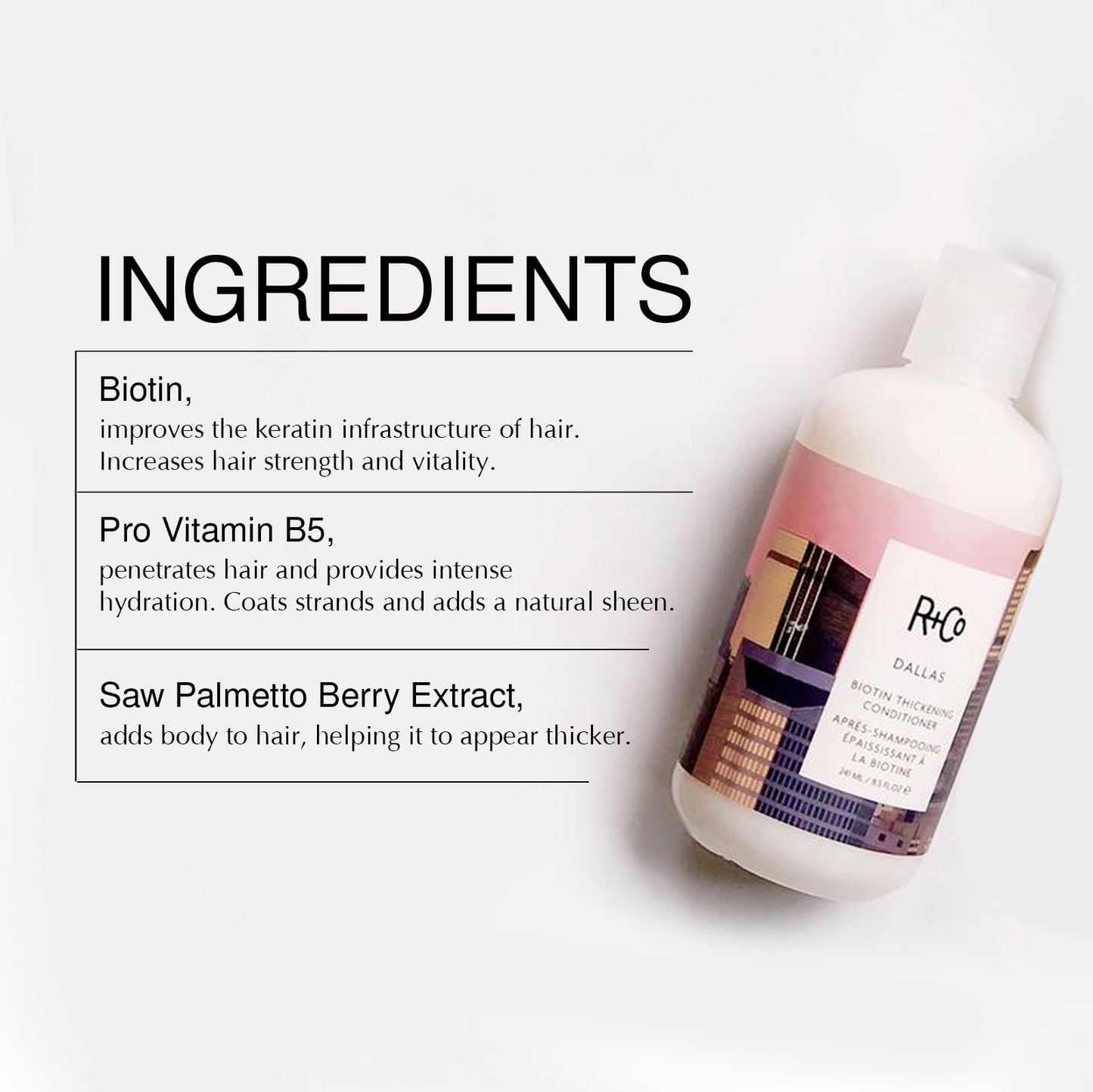 R+Co Dallas Biotin Thickening Shampoo and Conditioner Set- Volumizing Formula for Fine, Thin Hair - Adds Strength, Body & Fullness - Sulfate-Free Beauty & Personal Care R+Co