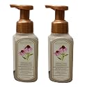 Bath and Body Works Gentle and Clean Foaming Hand Soap 8.75 oz each - Pack of 2 (Springtime Greenhouse) Beauty & Personal Care Bath & Body Works