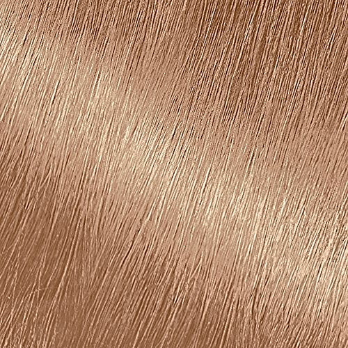 Garnier Nutrisse Haircolor - 82 Champagne Blonde 1 Each Beauty & Personal Care Garnier