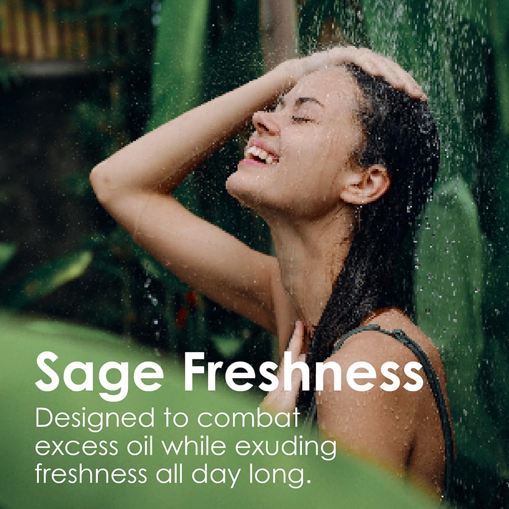 SH-RD Scalp Purifying Essentials for Travel & Trial | Sage Shampoo and Conditioner, Protein Cream | Hotel Size Set for Oily Hair Anti-Dandruff Beauty & Personal Care SH-RD