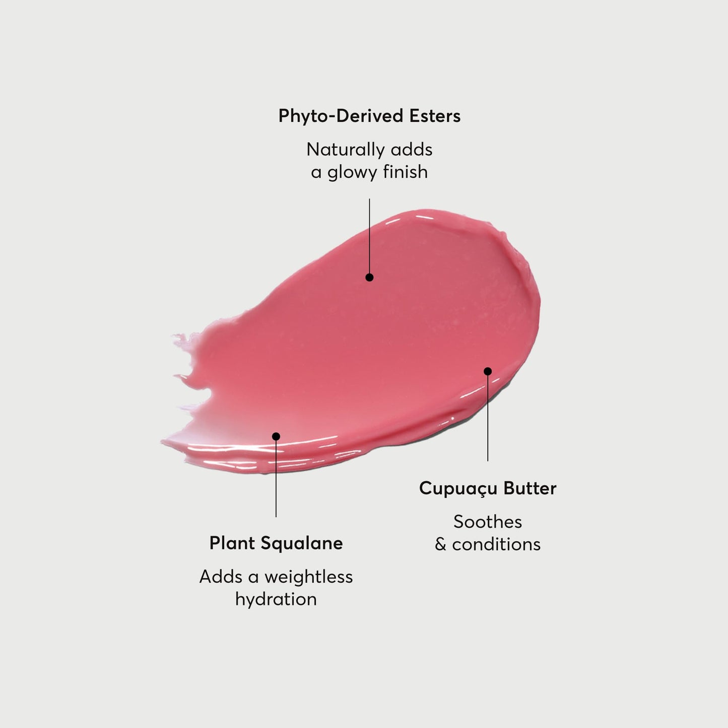 Naturium Phyto-Glow Lip Balm, Hydrating Lip Care with a Glossy Finish, 0.34 oz Petal Beauty & Personal Care Naturium