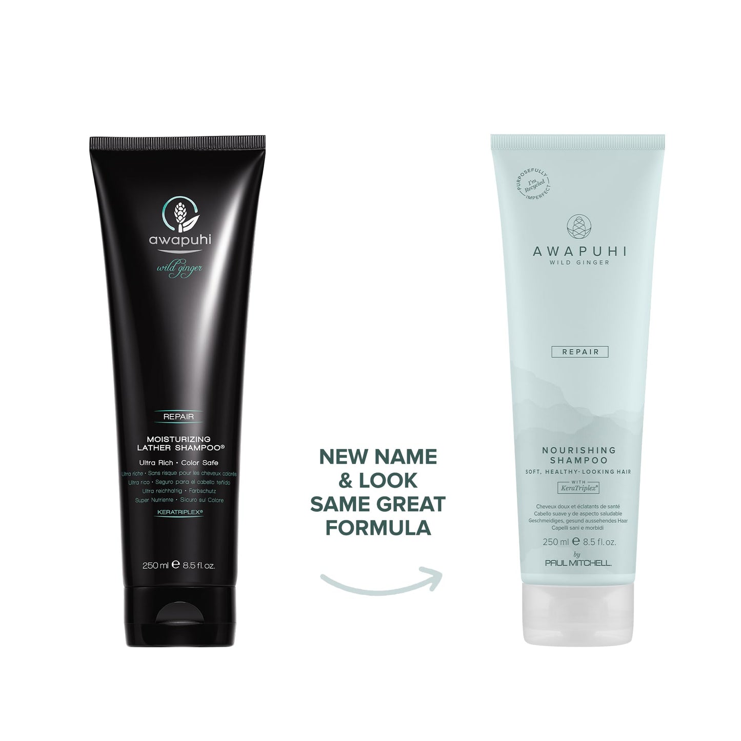 Awapuhi Wild Ginger by Paul Mitchell Nourishing Shampoo, Ultra Rich, Color-Safe Formula, For Dry, Damaged + Color-Treated Hair, 8.5 fl. oz. Beauty & Personal Care Awapuhi Wild Ginger