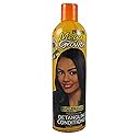 Profectiv Mega Growth Detangling Conditioner, 12 Ounce Beauty & Personal Care Profectiv