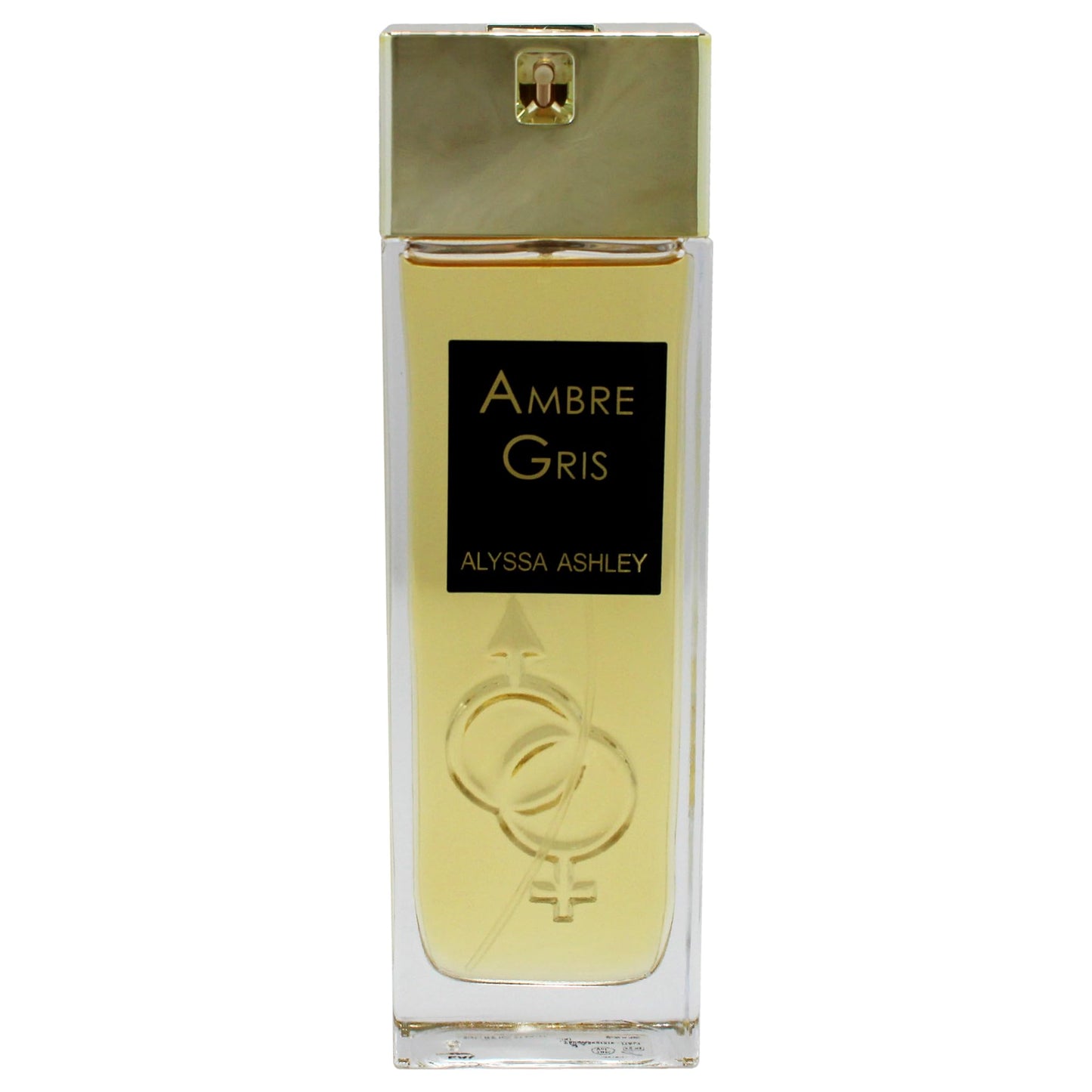 Ambre - Gris by Alyssa Ashley for Women - 3.4 oz EDP Spray Beauty & Personal Care ALYSSA ASHLEY
