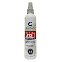 Isoplus Designing & Holding Spritz 10 Oz. Beauty & Personal Care Isoplus