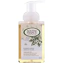 South of France Foaming Hand Wash Blooming Jasmine - 8 fl oz - 2pc Beauty & Personal Care South Of France