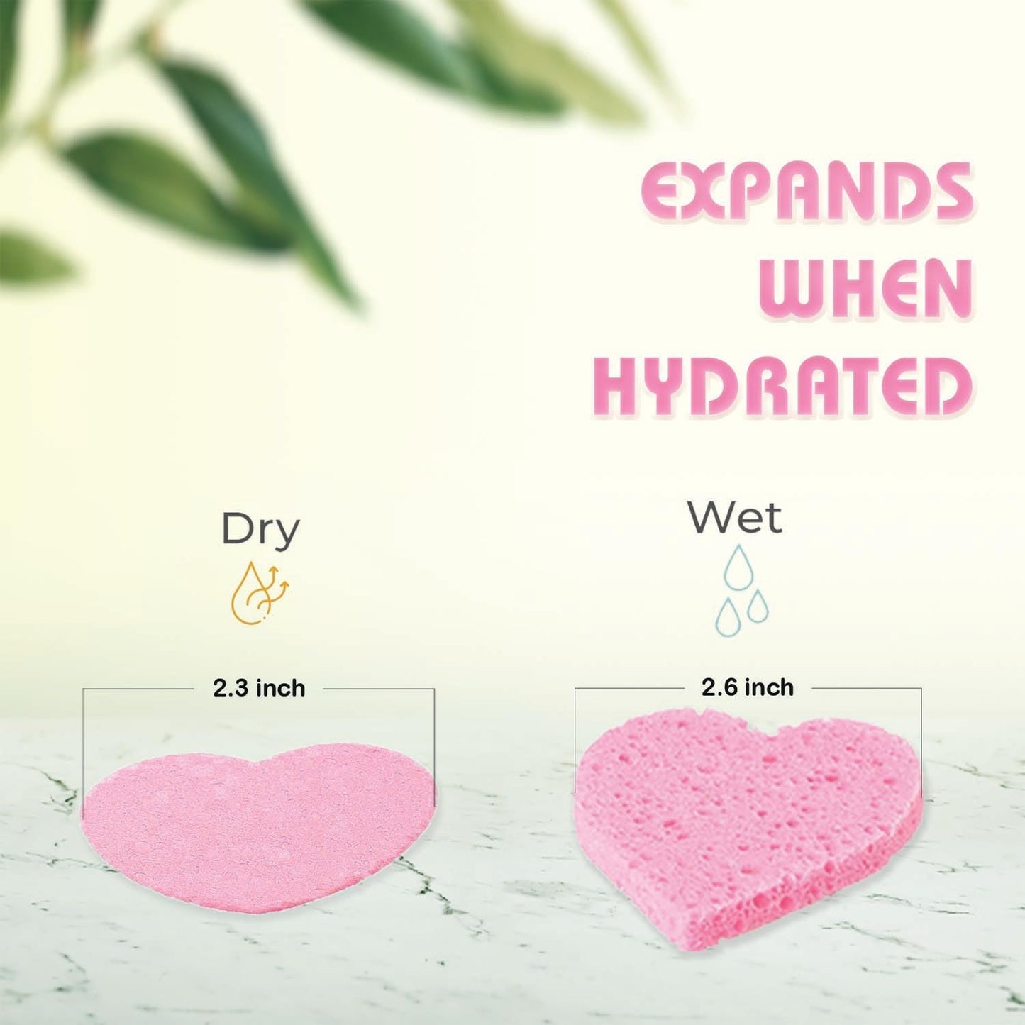 60-Count Compressed Facial Sponges | Makeup Remover Sponge | 100% Natural Cosmetic Spa Sponges for Facial Cleansing | Exfoliating Mask | Face Scrubber Beauty & Personal Care GreenBoll