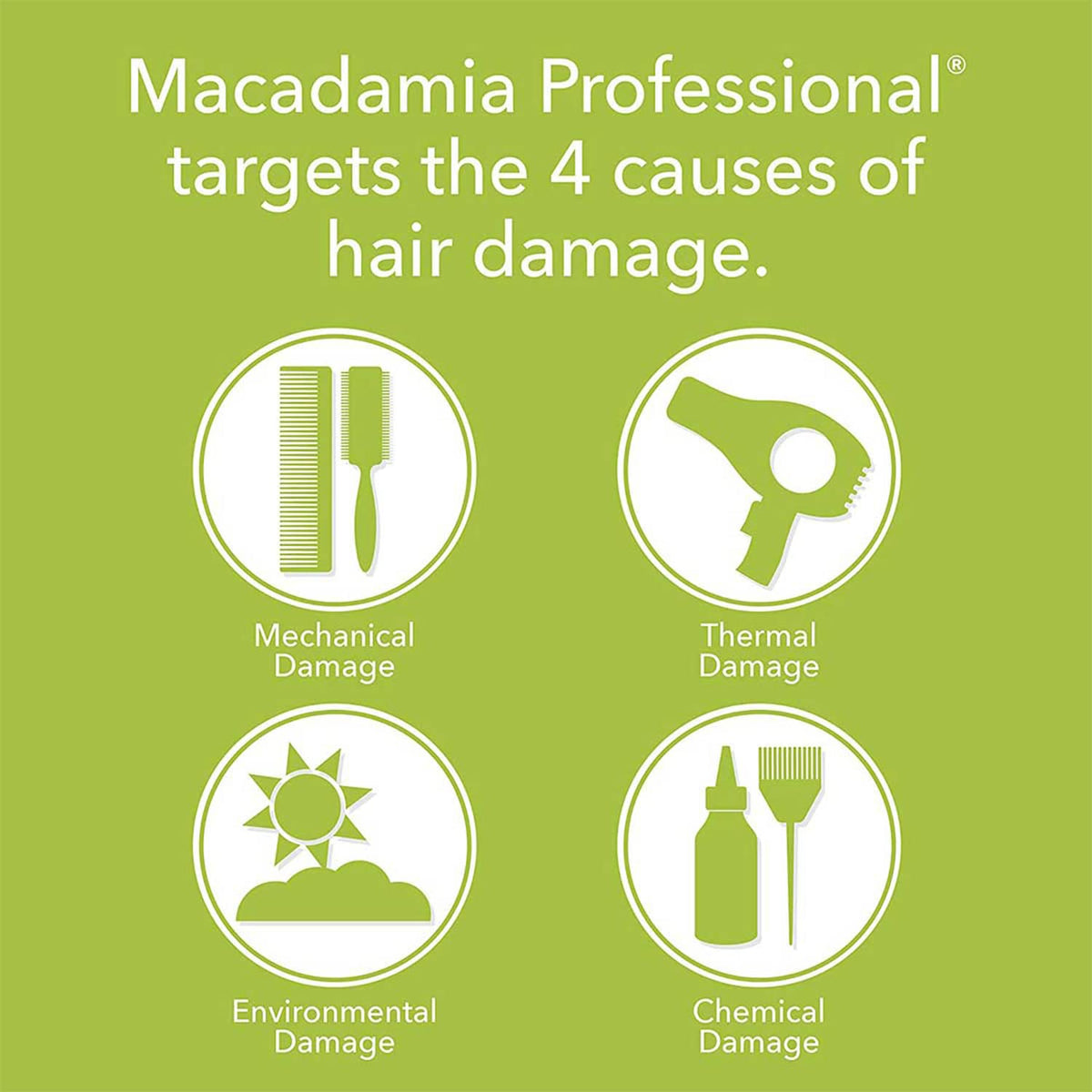Macadamia Natural Oil Smoothing Conditioner - Daily Hair Conditioner Rinse for Frizz-Free Hair, Paraben-Free & Color-Safe Formula, 10 fl oz