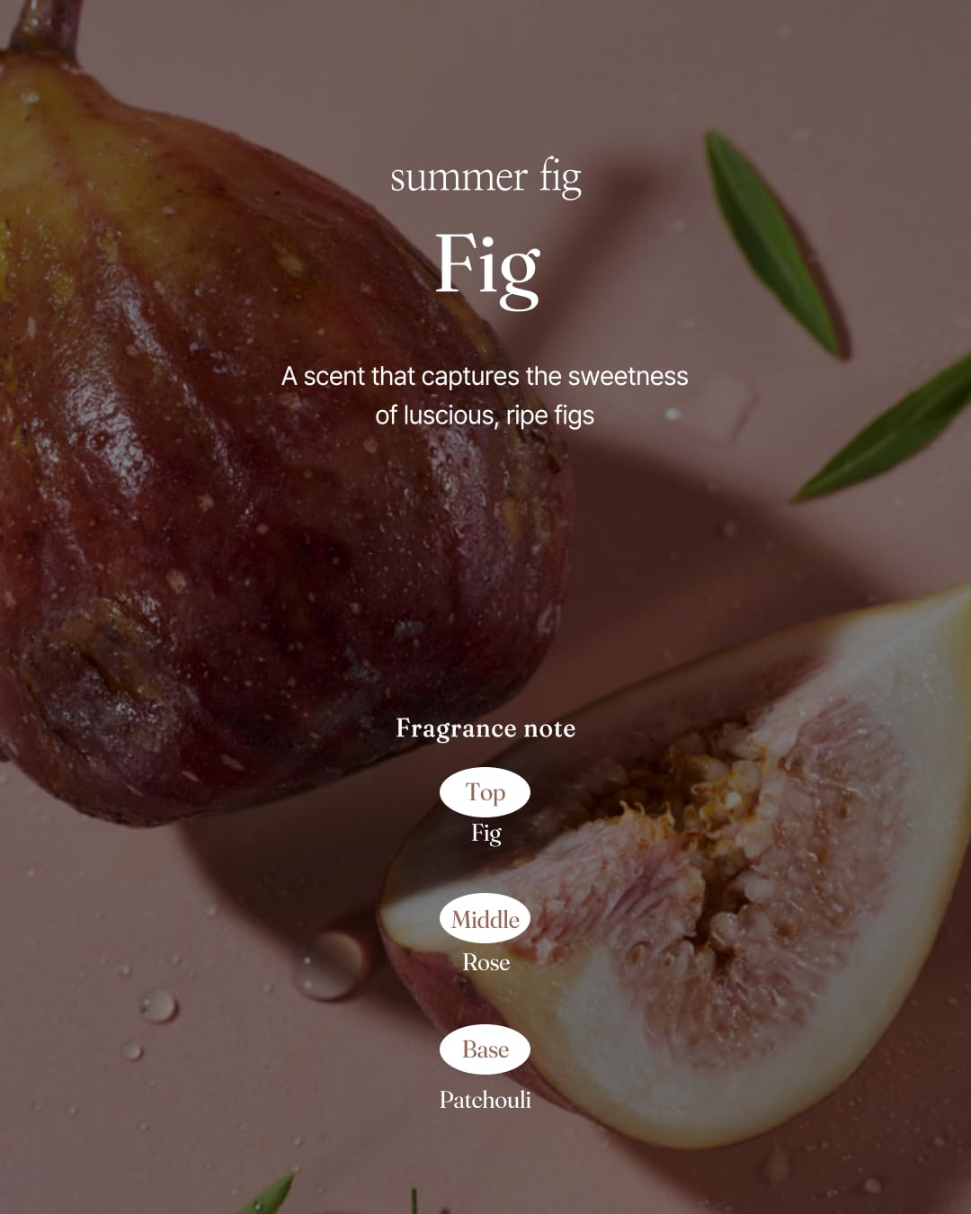 Foellie Inner Perfume Summer Fig (Fresh, Creamy, and Sweet Fig Scents) - Feminine Beauty & Underwear - Fragrance 5ml(0.169 fl.oz) Beauty and Personal Care Foellie