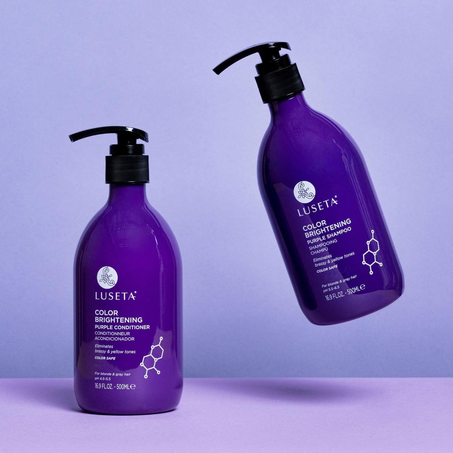 Luseta Purple Shampoo and Conditioner Set for Blonde, Gray - Color Treated Hair - Sulfate Free Paraben Free - Infused with Cocos Nucifera Oil Beauty & Personal Care L LUSETA