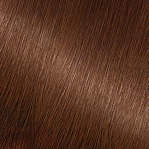 Garnier Nutrisse Nourishing Color Creme 53 Medium Golden Brown (Chestnut) Beauty & Personal Care Garnier