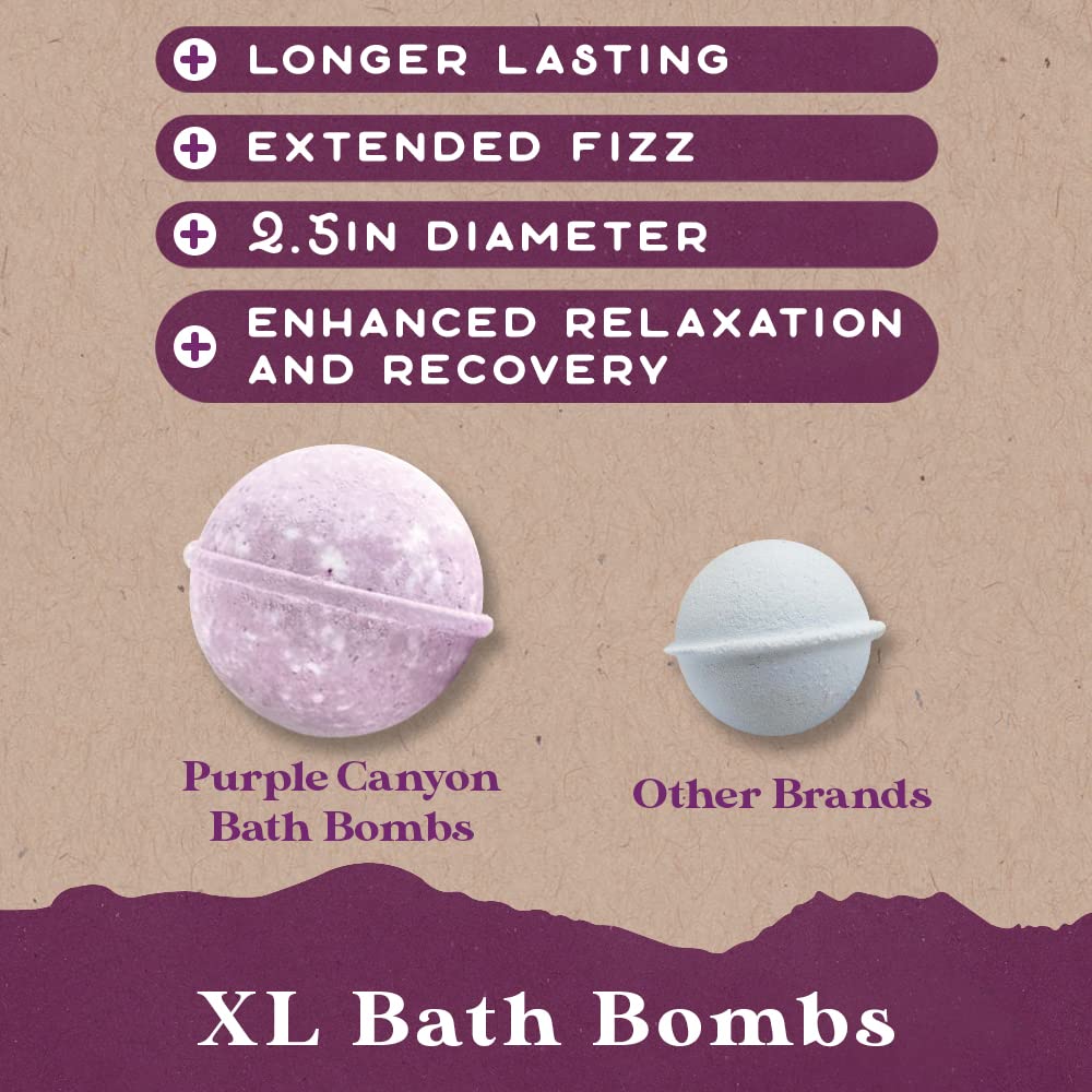 Purple Canyon Lavender Bath Bombs for Women - Relaxing, Natural Bath Bombs - Relaxing Self Care Gift Beauty and Personal Care PURPLE CANYON