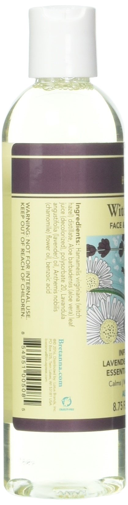 Bretanna Witch Hazel Toner Lavender Chamomile, 8.75 fl oz Beauty & Personal Care Bretanna